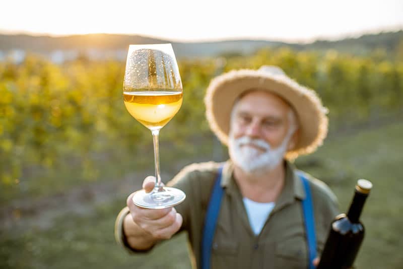 Vinhos do Vale de São Francisco recebem IG