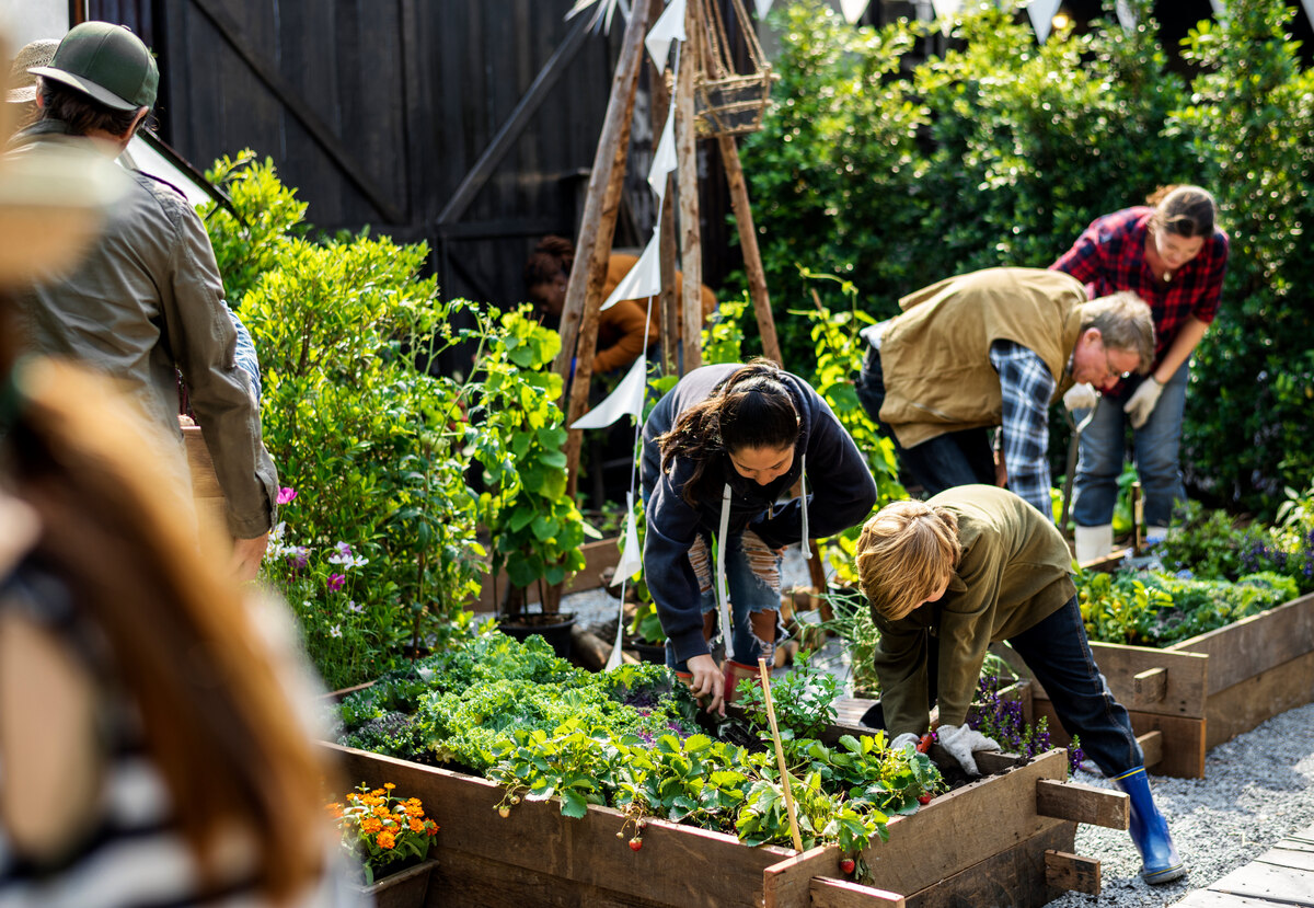 Projetos de Agricultura Urbana: Hortas Comunitárias que Estão Gerando Trabalho e Alimento